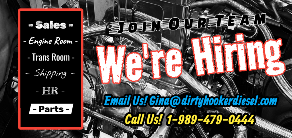 We're Hiring! Become a DHD Team Member NOW.