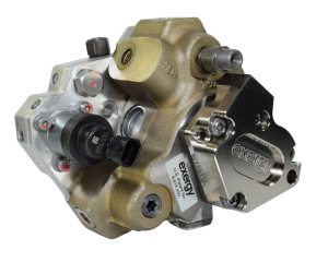 Exergy Performance - Exergy Performance 14mm Race Series Duramax & Cummins CP3 Injection Pump