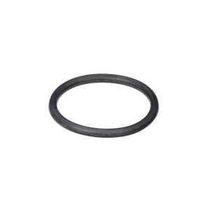 GM - GM 12625100 LML Oil Filler Tube O-Ring 2011-2016
