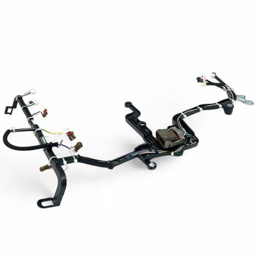 10L1000 Internal Wiring Harness