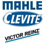 Mahle Clevite