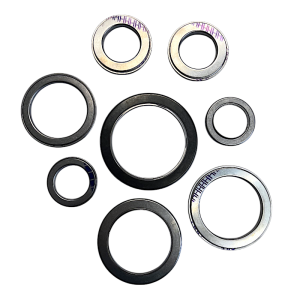 Duramax 5 Speed Transmission Bearing Kit