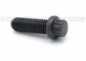 w300006 Bolt